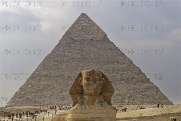 Head of the Great Sphinx in front of the Pyramid of Khafre