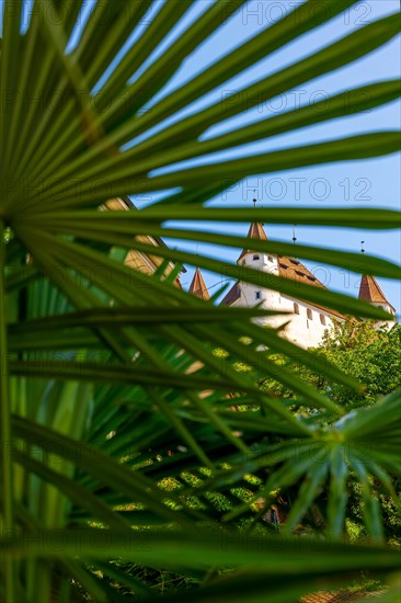 City of Thun with Castle Behind Palm Leaf in a Sunny Day in Thun