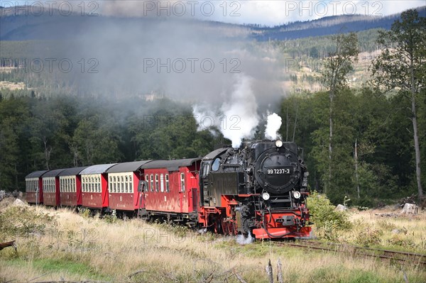 Harz narrow-gauge railway