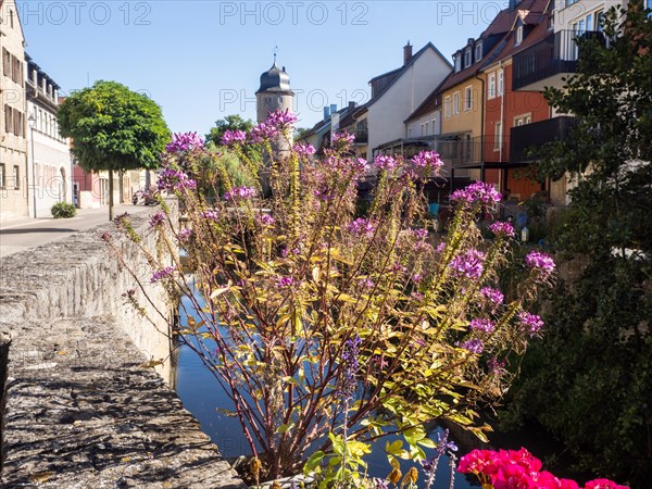 Blumen beim Malerwinkel