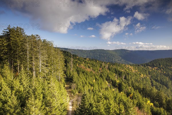 Autumn view from the Buchkopf