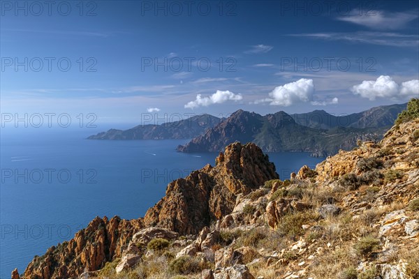 The Calanche a bizarre rocky landscape on the south coast of the Gulf of Porto in the Regional nature park Park of Corsica France Europe