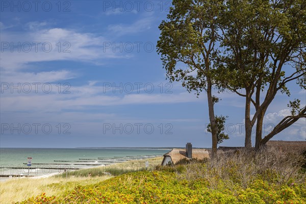 Coast near Ahrenshoop