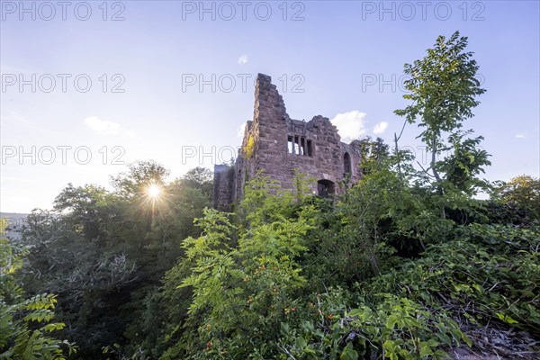 Hohenschramberg Castle in the Black Forest in the evening