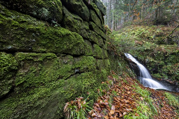 Waterfall in autumn forest