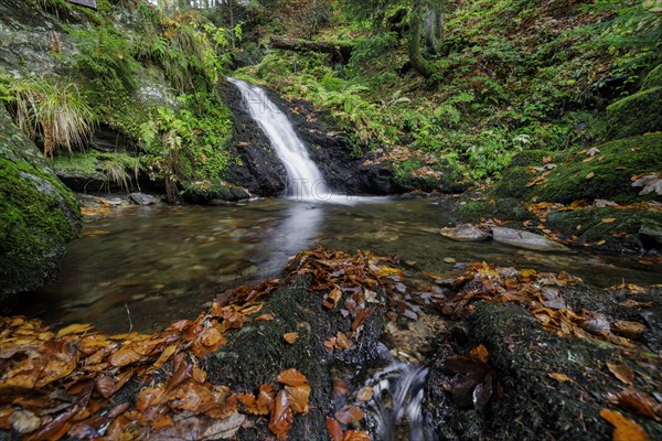 Mountain stream and waterfall in autumn forest