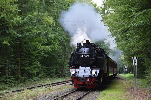 Harz narrow-gauge railway