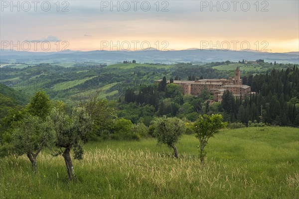 Abbey Abbazia di Monte Oliveto Maggiore