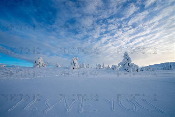 Winter landscape with snow-covered trees and the writing I Love You written in the snow