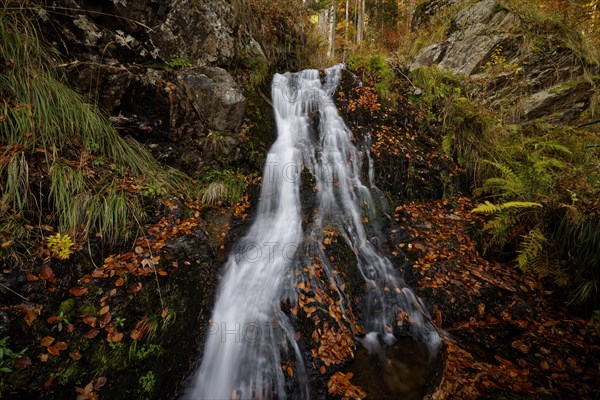Mountain stream and waterfall in autumn forest