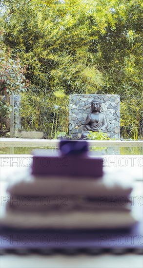 A Buddah statue located in the yoga studio yard