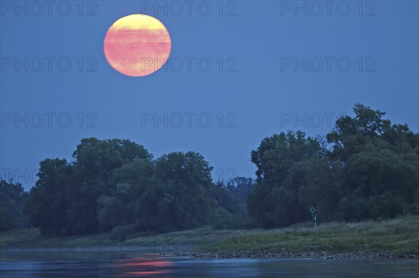 Blue Moon from 31.08.2023