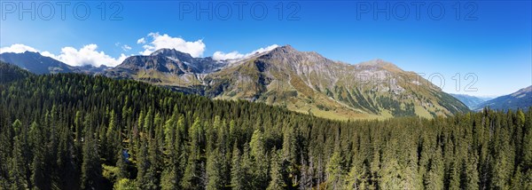 View over the Rauris primeval forest to the Hohe Sonnblick