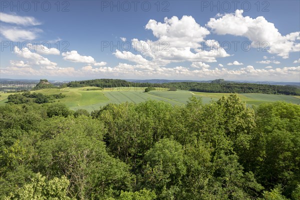 View from Maegdeberg Ruin