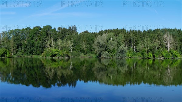Reflection of trees in the reservoir in Spindelwag