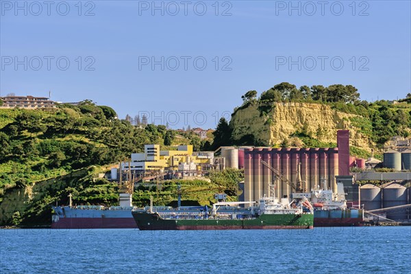 Grain and oilseeds terminal and dry bulk cargo ships moored by pier on sunny day. Elevator storage complex for crops and oils as part of a transfer silo. Transportation of agricultural products and foodstuff