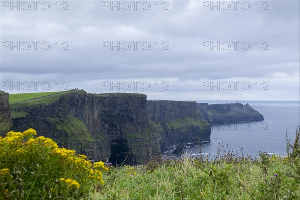 Cliffs of Moher