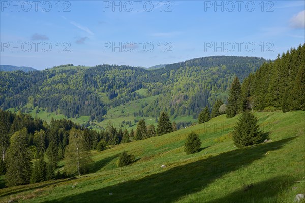 Low mountain landscape