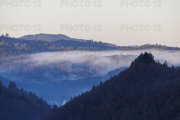 Early November fog near Oppenau