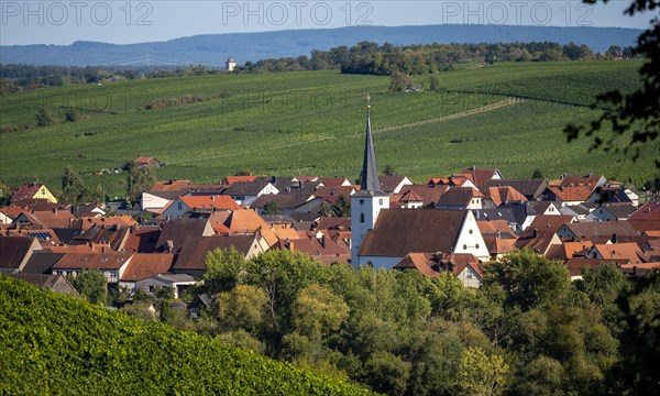 Volkach am Main