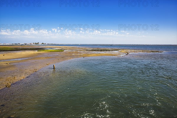 Ria Formosa nature park Park