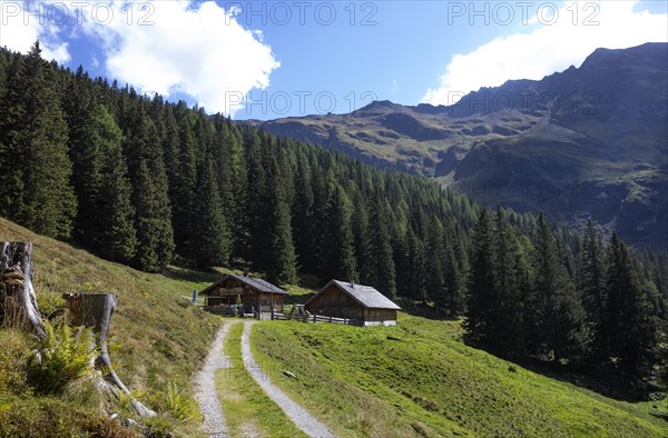 Hiking trail to the Erlehenalm