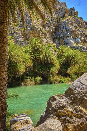 View of Kourtaliotis river and canyon near Preveli beach at Libyan sea