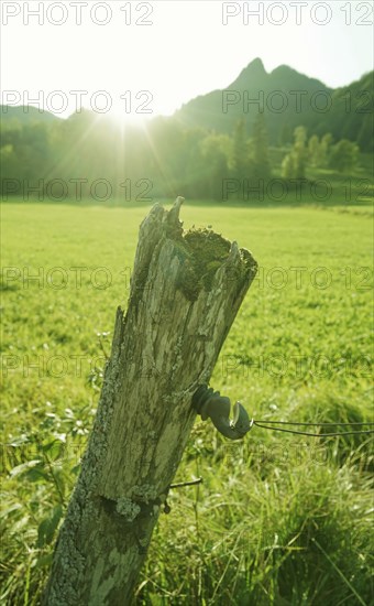 Meadow landscape at the foot of the Brauneck