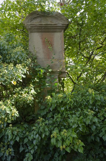 Station at the Bildersteige