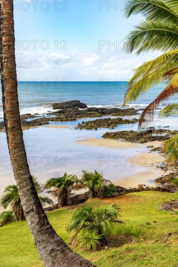 Rocky beach among the coconut trees and vegetation of Serra Grande on the coast of Bahia