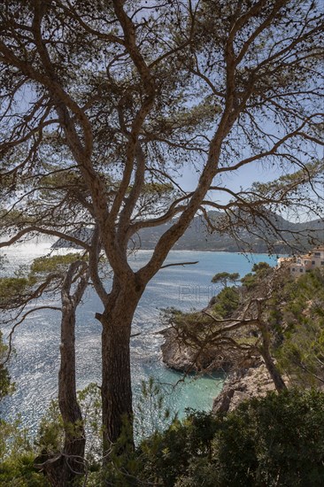 Landscape on the east coast