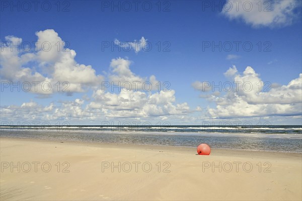 Water's edge between beach and North Sea