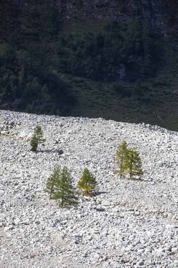 Debris pile after storm in Kolm Saigurn