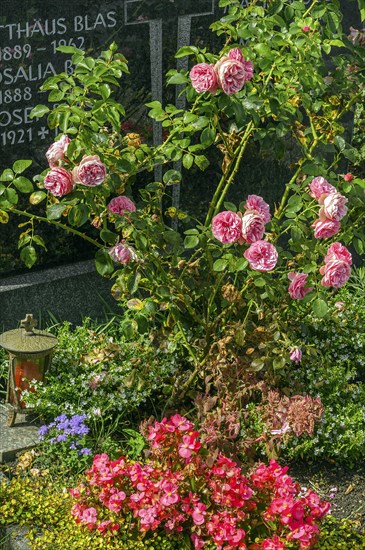 Gravestone with flower decoration and roses