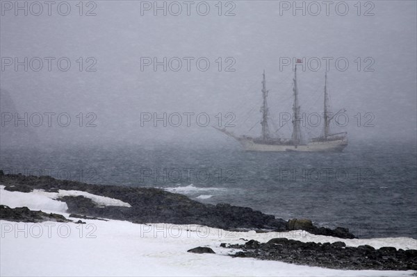 The tallship Europa