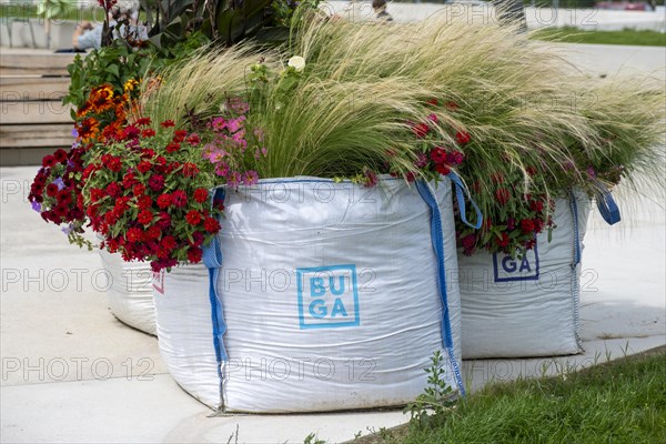 Flowers in planting bags at the Federal Horticultural Show