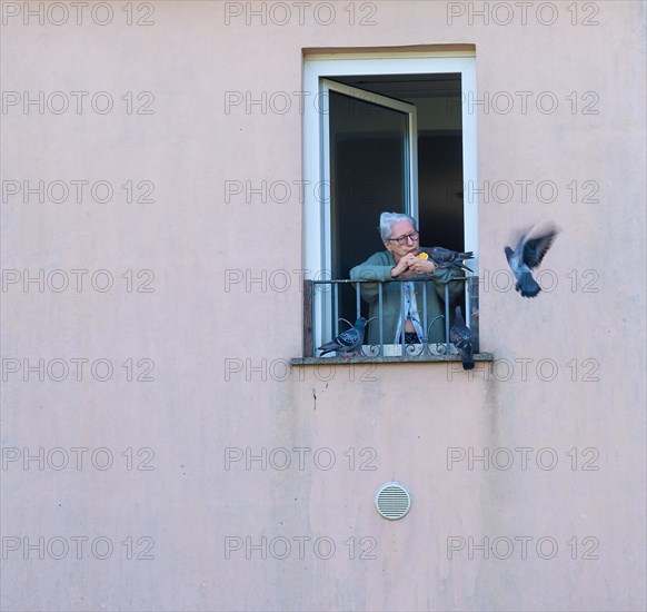 Woman Feeding Dove Birds from a Window in a Sunny Summer Day in Porto Ceresio