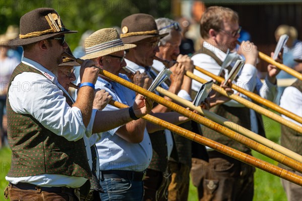 Alphorn blowers