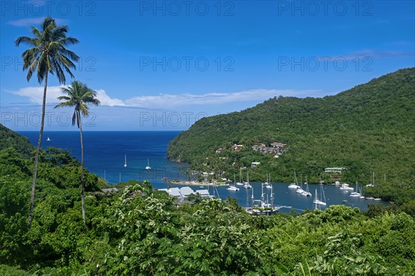 View over sailing boats