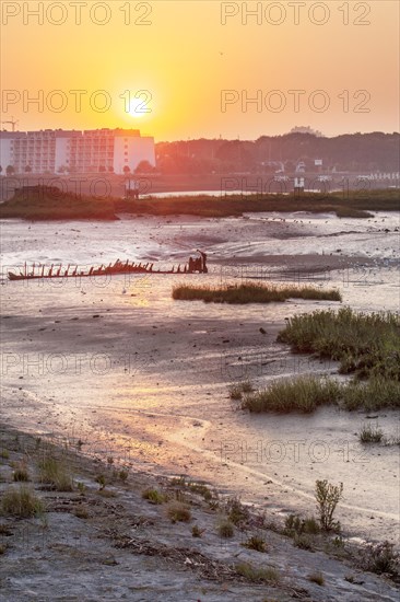 Salt marsh and mudflats at the nature reserve De IJzermonding at Nieuwpoort