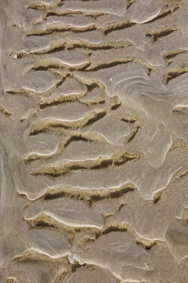 Abstract pattern of sand ripples on mudflat at low tide