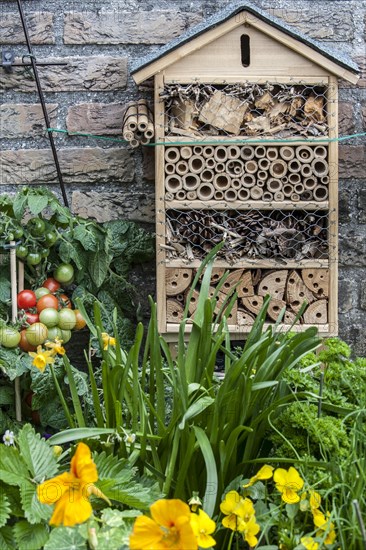 Insect hotel for solitary bees and other insects near flower and vegetable garden