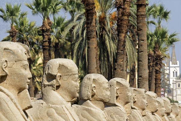 Corridor of Sphinxes at the Luxor Temple complex in Egypt