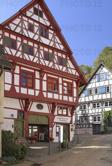 Half-timbered houses