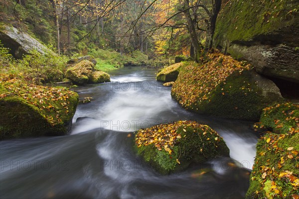 Kamnitz Gorge