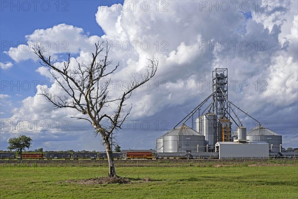 Freight train loading grain into freight cars