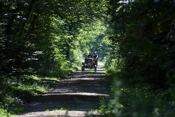 Excursion in the forest with a vintage tractor Eicher Diesel