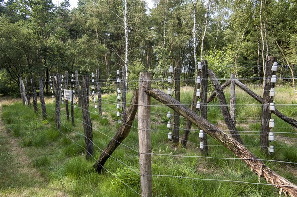 Porcelain pin insulators and Wire of Death