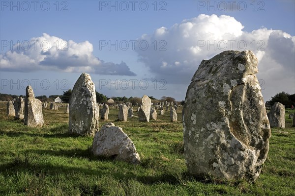 Neolithic menhirs