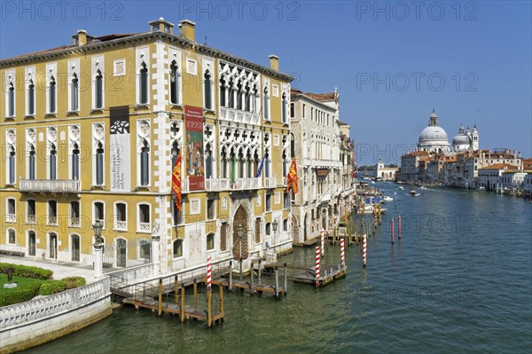 View from the Ponte dell'Accademia to Palazzo Franchetti and Basilica di Santa Maria della Salute